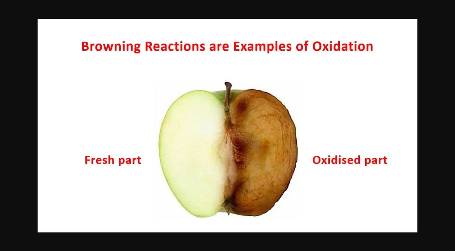 Diagram comparing fresh and oxidized apple flesh to illustrate oxidation
