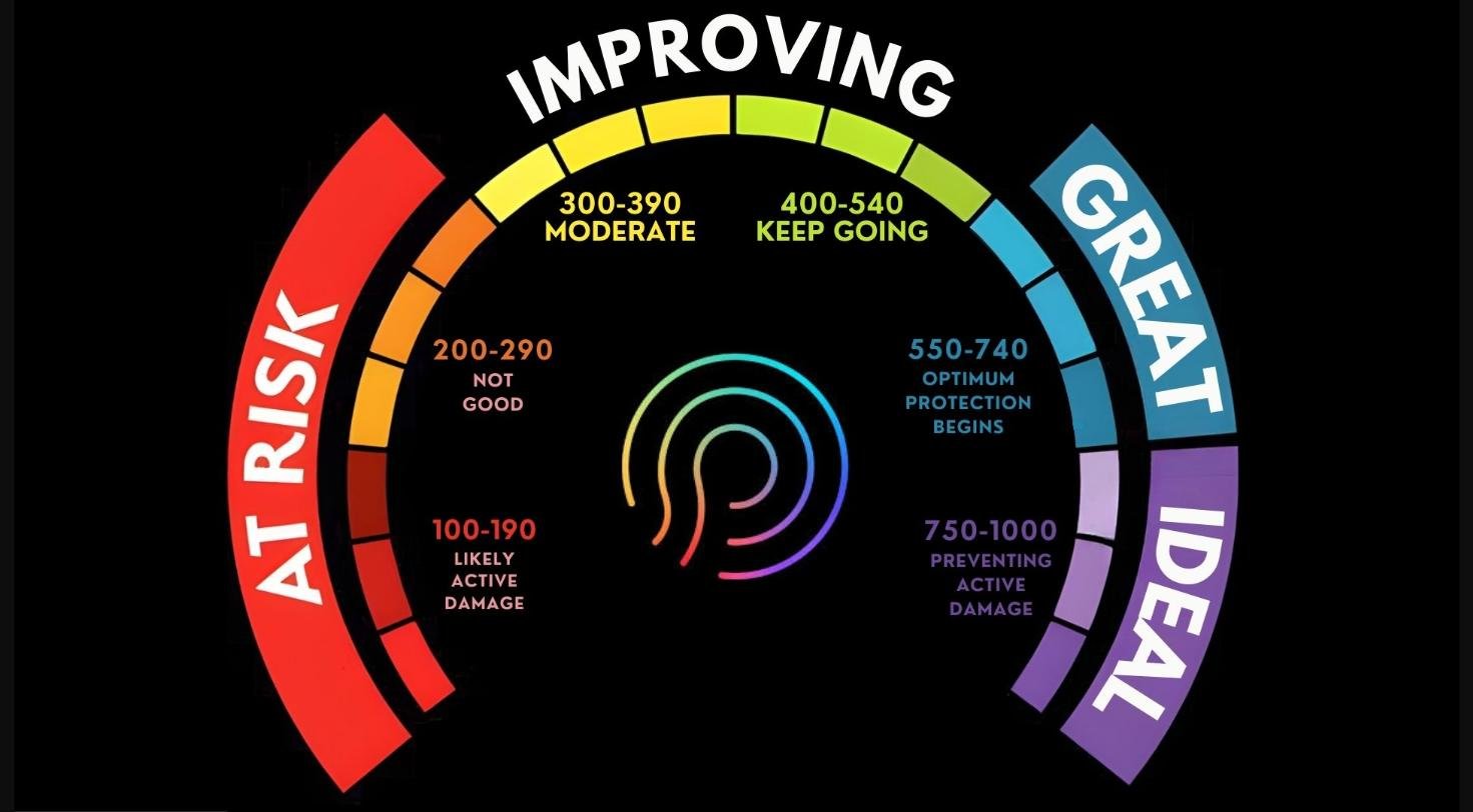PrysmIO antioxidant score gauge showing risk ranges
